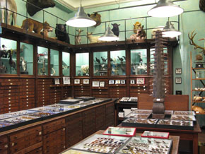 Deyrolle, Paris