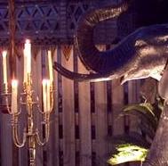 Elephant Club, Barcelona