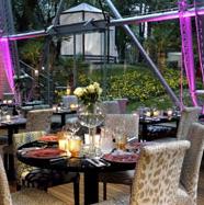 Just Cavalli Cafe, bar, Milan