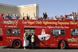 Bus Tours